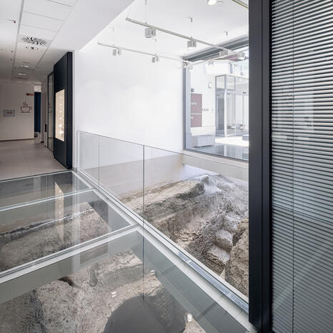 Centro Salute-Ambiente 