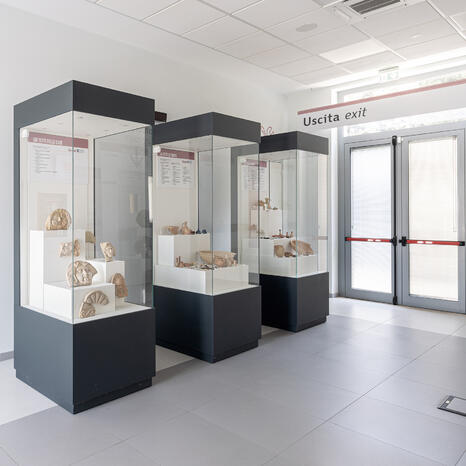 Centro Salute-Ambiente 